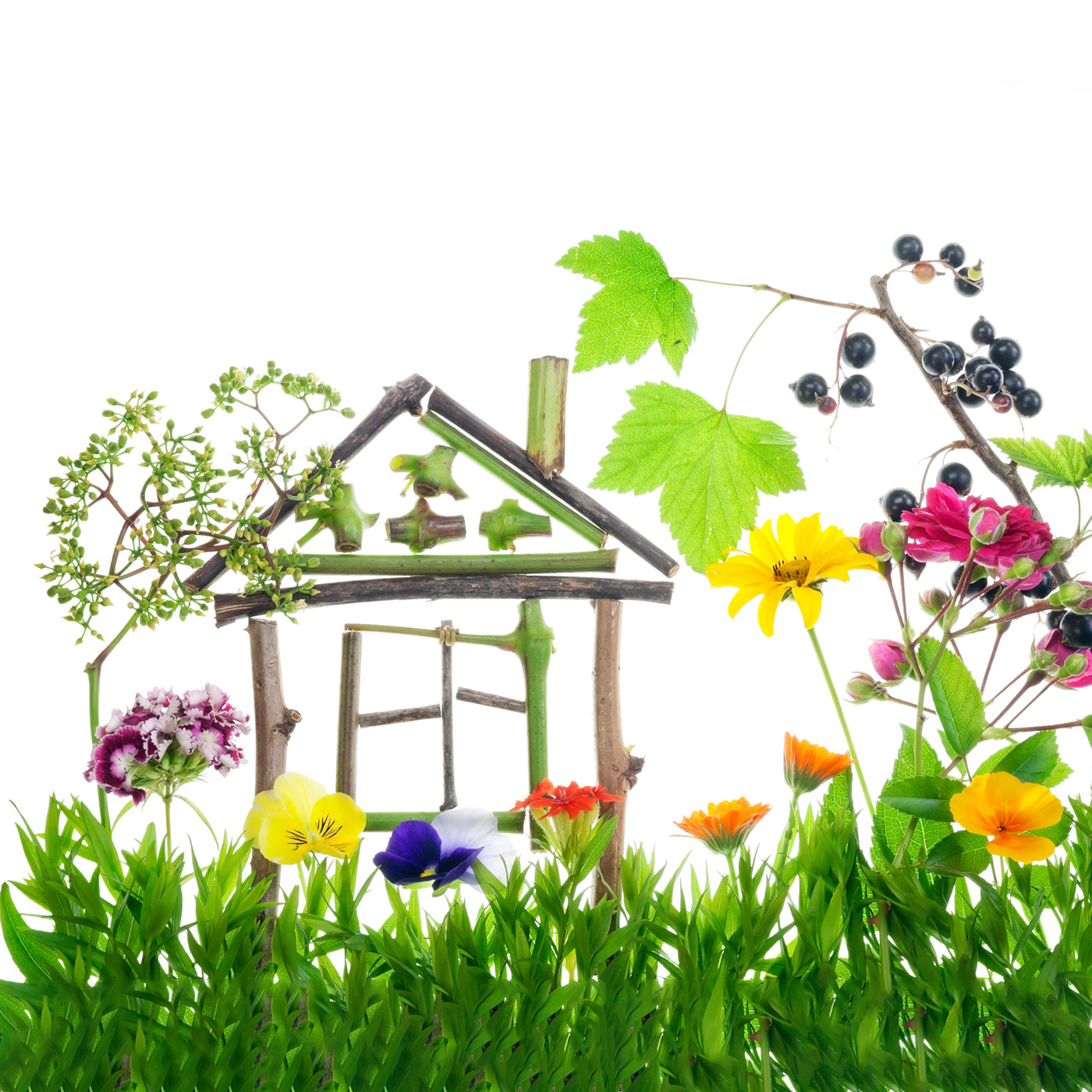 Reasons to Choose Country Rose Olive Oil Castile Liquid Soap