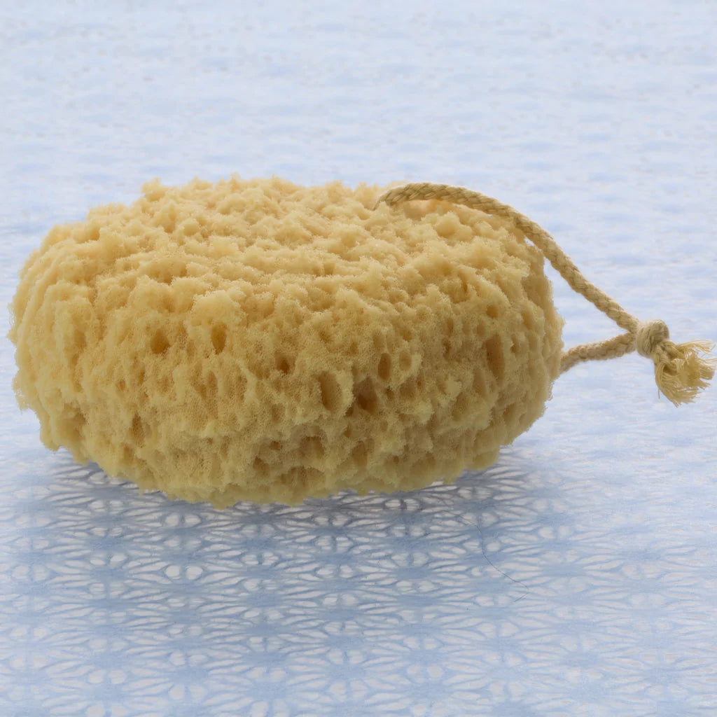 Foam Sea Sponge