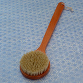 Plant Bristled Back Brush with Wood Handle