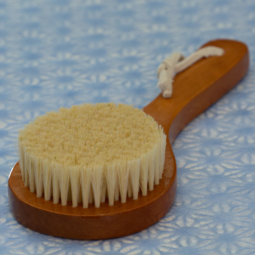 Plant Bristled Body Brush with Wood Handle